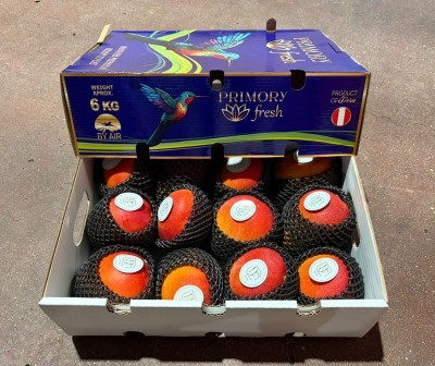 Foto Mango Via Aerea Calibro 12 Origine Spagna Marchio Primory   1