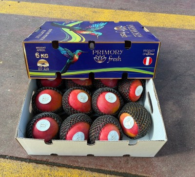 Foto Mango Via Aerea Varietà Kent Calibro 11 Origine Perù  Marchio Primory 1