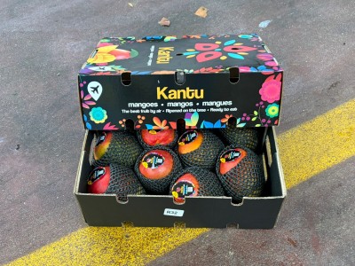 Foto Mango Via Aerea Calibro 10 Origine Peru Marchio Kantu 1