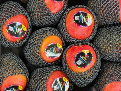 Foto Mango Via Aerea Calibro 10 Origine Peru Marchio Kantu 2