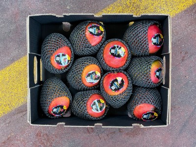 Foto Mango Via Aerea Calibro 10 Origine Peru Marchio Kantu 3