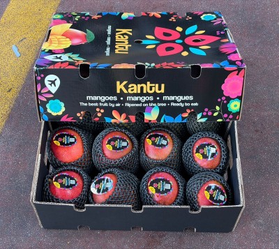 Foto Mango Via Aerea Calibro 12 Origine Peru Marchio Kantu 1