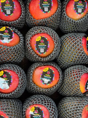 Foto Mango Via Aerea Calibro 12 Origine Peru Marchio Kantu 2