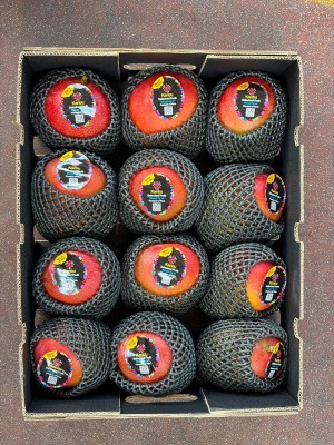 Foto Mango Via Aerea Calibro 12 Origine Peru Marchio Kantu 3