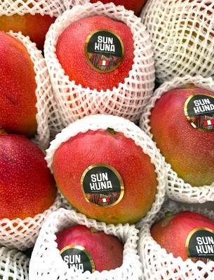 Foto Mango Via Aerea Calibro 12 Origine Perù Marchio Sun Kuma 2