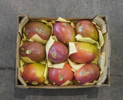 Foto Mango Varietà Tommy Calibro 9 Origine Brasile Marchio Pepita 3