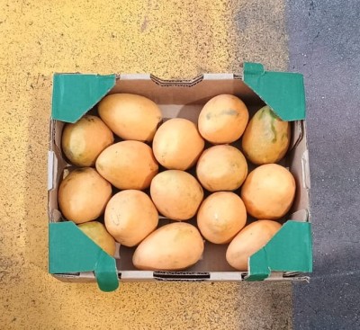 Foto Mango Giallo Origine Repubblica Domenicana Marchio Mango  2