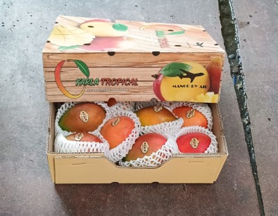Foto Mango Varietà Via Aerea Calibro 10 Origine Repubblica Domenicana Marchio Karla Tropical            1