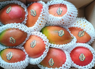 Foto Mango Varietà Via Aerea Calibro 10 Origine Repubblica Domenicana Marchio Karla Tropical            2