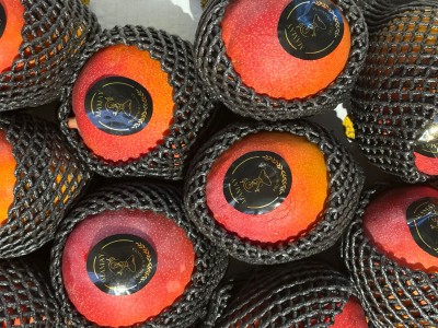 Foto Mango Via Aerea Calibro 10 Origine Perù Marchio De Madre Tierra 2