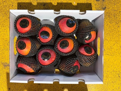 Foto Mango Via Aerea Calibro 10 Origine Perù Marchio De Madre Tierra 3