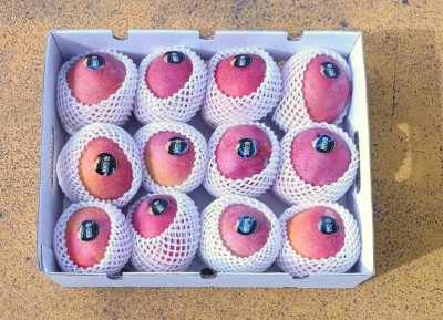 Foto Mango Via Aerea Calibro 12 Origine Perù Marchio All Green    3