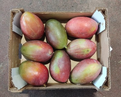 Foto Mango Varietà Palmer Calibro 8 Origine Brasile Marchio Argo           3