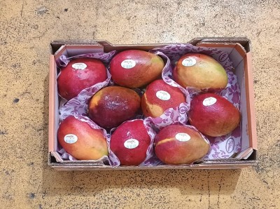 Foto Mango Varietà Kasturi Calibro 9 Origine Israele Marchio Shoham  3