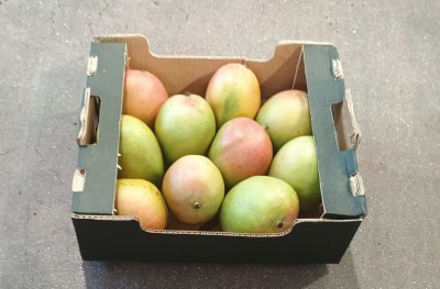 Foto Mango Varietà Palmer Calibro 8 Origine Costa D'avorio Marchio Cartone Nero  1