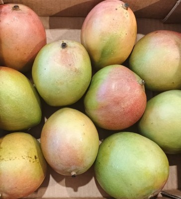 Foto Mango Varietà Palmer Calibro 8 Origine Costa D'avorio Marchio Cartone Nero  2