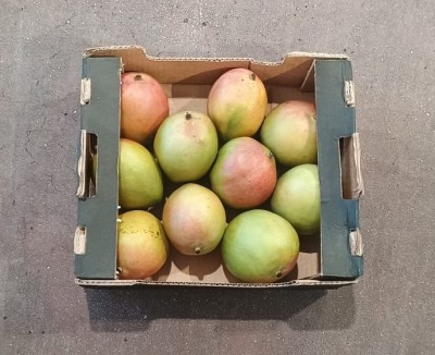 Foto Mango Varietà Palmer Calibro 8 Origine Costa D'avorio Marchio Cartone Nero  3