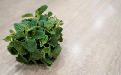 Foto  Mentuccia A mazzi Origine Italia Marchio Agriroma 1