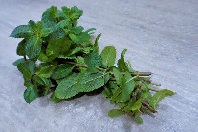 Foto Menta Romana  A mazzi Origine Italia Marchio Agriroma 1