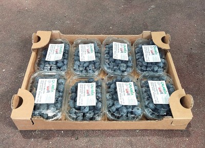 Foto Mirtilli confezione da 8 Vaschette da 100 gr Origine Italia Marchio Perre Nazarena 1