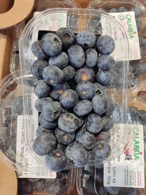 Foto Mirtilli confezione da 8 Vaschette da 100 gr Origine Italia Marchio Perre Nazarena 2