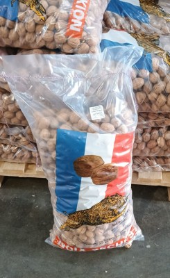 Foto Noci Varietà Franquette Calibro 32/34 Origine Francia Marchio Noix 1