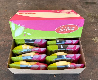 Foto Indivia Belga Origine Francia Marchio En Diva    1