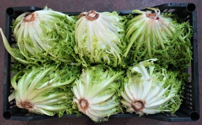 Foto Indivia Origine Italia Marchio Pallavicino 2