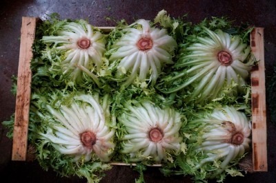 Foto Indivia Origine Italia Marchio Setina 1