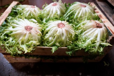 Foto Indivia Origine Italia Marchio Setina 2