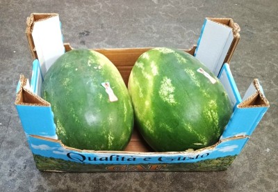 Foto Angurie Lavorazione In Cartone Da 2 Frutti Origine Italia Marchio Gaf  1