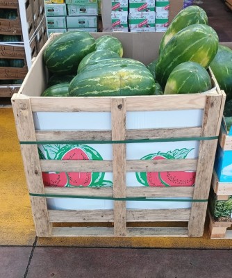 Foto Angurie Lavorazione In Bins Origine Italia Marchio Agri21              1