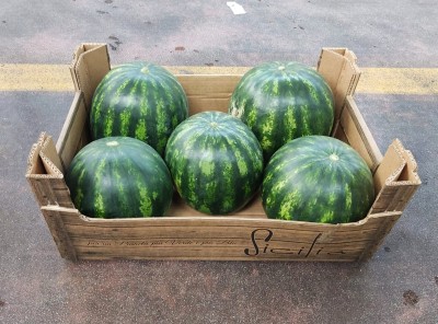 Foto Mini Angurie Striate Calibro 5 Origine Italia Marchio Sicilia 1