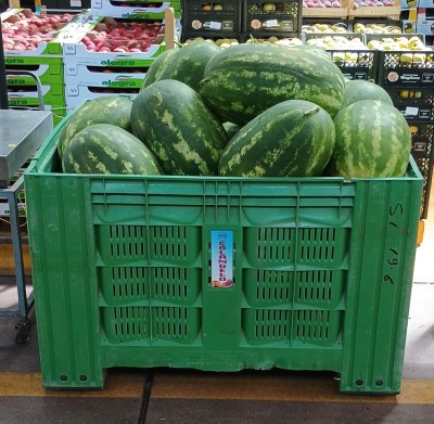 Foto Angurie Lavorazione In Bins Origine Italia Marchio Dama Frutta   1