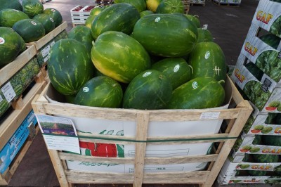 Foto Angurie Lavorazione In Bins Origine Italia Marchio Acri  1