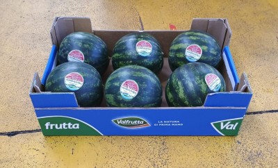 Foto Mini Angurie Origine Italia Marchio Valfrutta  1