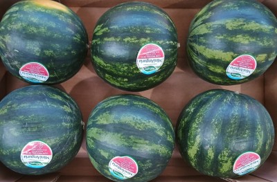 Foto Mini Angurie Origine Italia Marchio Valfrutta  2