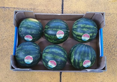 Foto Mini Angurie Origine Italia Marchio Valfrutta  3