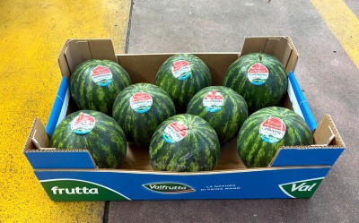 Foto Mini Angurie Varietà Coco Baby Origine Italia Marchio Valfrutta 1