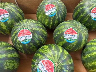 Foto Mini Angurie Varietà Coco Baby Origine Italia Marchio Valfrutta 2