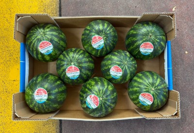 Foto Mini Angurie Varietà Coco Baby Origine Italia Marchio Valfrutta 3