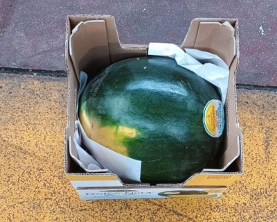 Foto Mini Angurie A Pasta Gialla Origine Italia Marchio Valfrutta  3