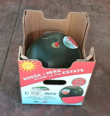 Foto Mini Angurie Perla Nera Origine Italia Marchio Valfrutta  1