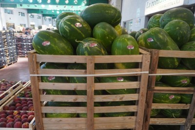 Foto Angurie Lavorazione In Bins Vendibili Singolarmente Origine Italia Marchio Ruscito Mauro  1