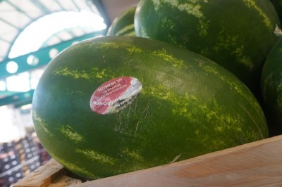 Foto Angurie Lavorazione In Bins Vendibili Singolarmente Origine Italia Marchio Ruscito Mauro  2