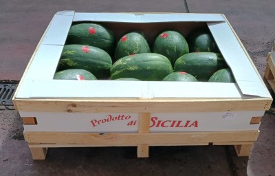 Foto Angurie Lavorazione In Bins Origine Italia Marchio Raudino Fruits   1