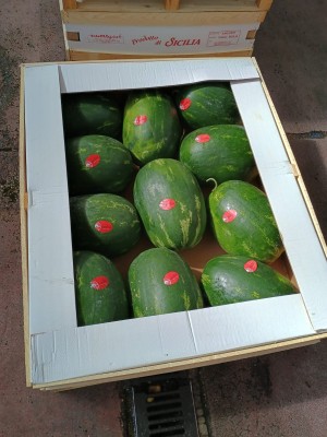 Foto Angurie Lavorazione In Bins Origine Italia Marchio Raudino Fruits   3