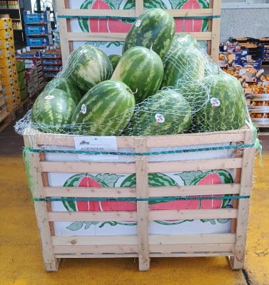 Foto Angurie Lavorazione In Bins Di Legno Origine Italia Marchio Global Fruit srl  1