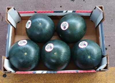 Foto Angurie Varietà Perla Nera Calibro 5 Origine Italia Marchio Perla Nera  3