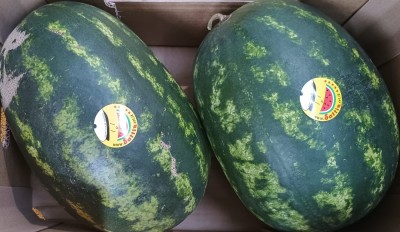 Foto Angurie Varietà Crimson Confezione Da 2 Frutti Origine Marocco Marchio Sattin  2